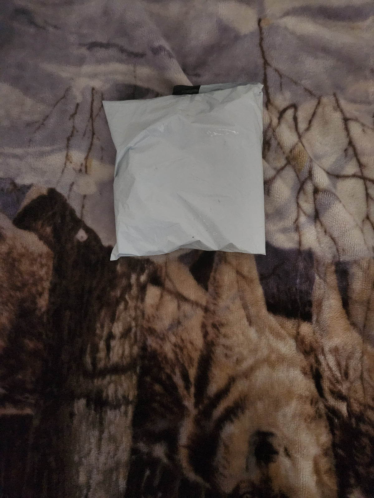 The Men's Jazz Improvise At Will Trumpet Tee
